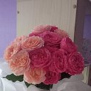 ���� Rozalinka, �������, 51 ��� - ��������� 17 ���� 2024