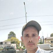 �����, 37 ���, ���������