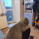 ���� �����, ���������, 53 ���� - ��������� 24 ������ 2026