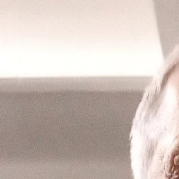 ������, ������, 58 ���