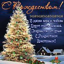 ���� ���������, �����������, 54 ���� - ��������� 7 ������ 2026 � ������ ������ ��������