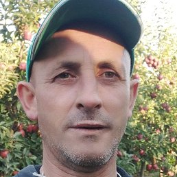 ����, �������, 49 ���