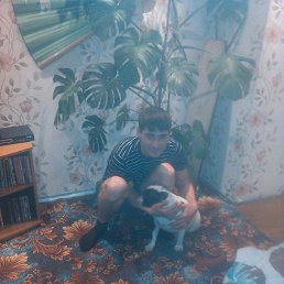 �������, �����������, 39 ���