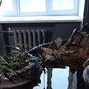 ���� ���, �����, 60 ��� - ��������� 8 ������ 2024 � ������ ������� �������� ������ 2022�