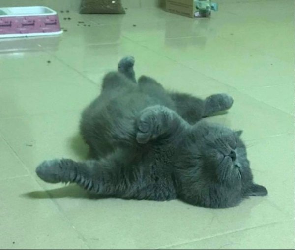   .   ,   ,   ,   ,  ,    ... - 2