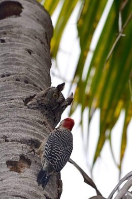 - ��� ��������!!! )