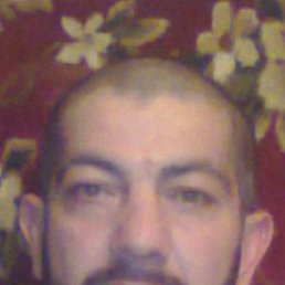 , 54, 