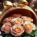 ���� �����, ����������� - ��������� 27 ������ 2026 � ������ ������ ��������