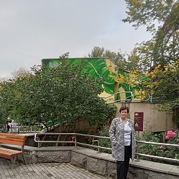 �������, ������������, 66 ���