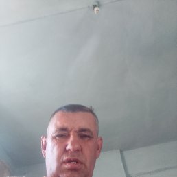 ������, 43 ����, ������