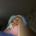 ���� ˸��, ��������, 44 ���� - ��������� 28 ������� 2023 � ������ ���� ����������