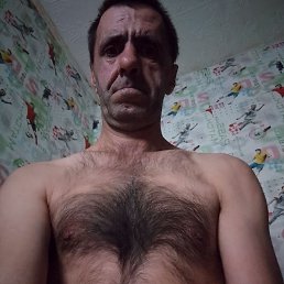 , 41, 