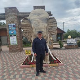 ������, ���������, 50 ���