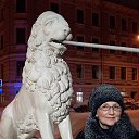 ���� �����, �����������, 67 ��� - ��������� 8 ������� 2024 � ������ ���� ����������