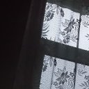 ���� ���������, ������, 52 ���� - ��������� 6 ���� 2025 � ������ ���� ����������