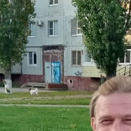 ����, ������, 49 ���