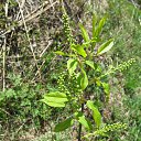  , , 60  -  23  2025    2025 .  ... 9 