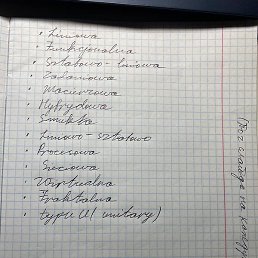 ������, �������, 25 ���