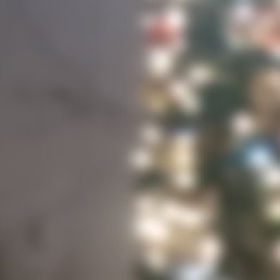 �����, ������, 43 ����