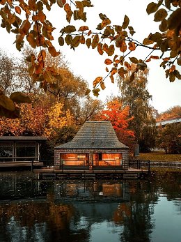 �����������