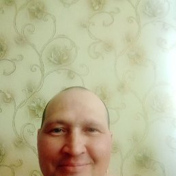 , 44, 