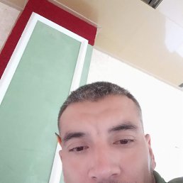 , 37, 
