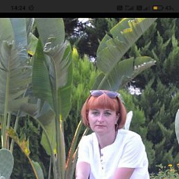 , 43, --