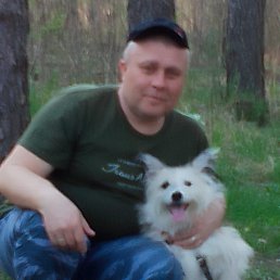 �������, 42 ����, ����