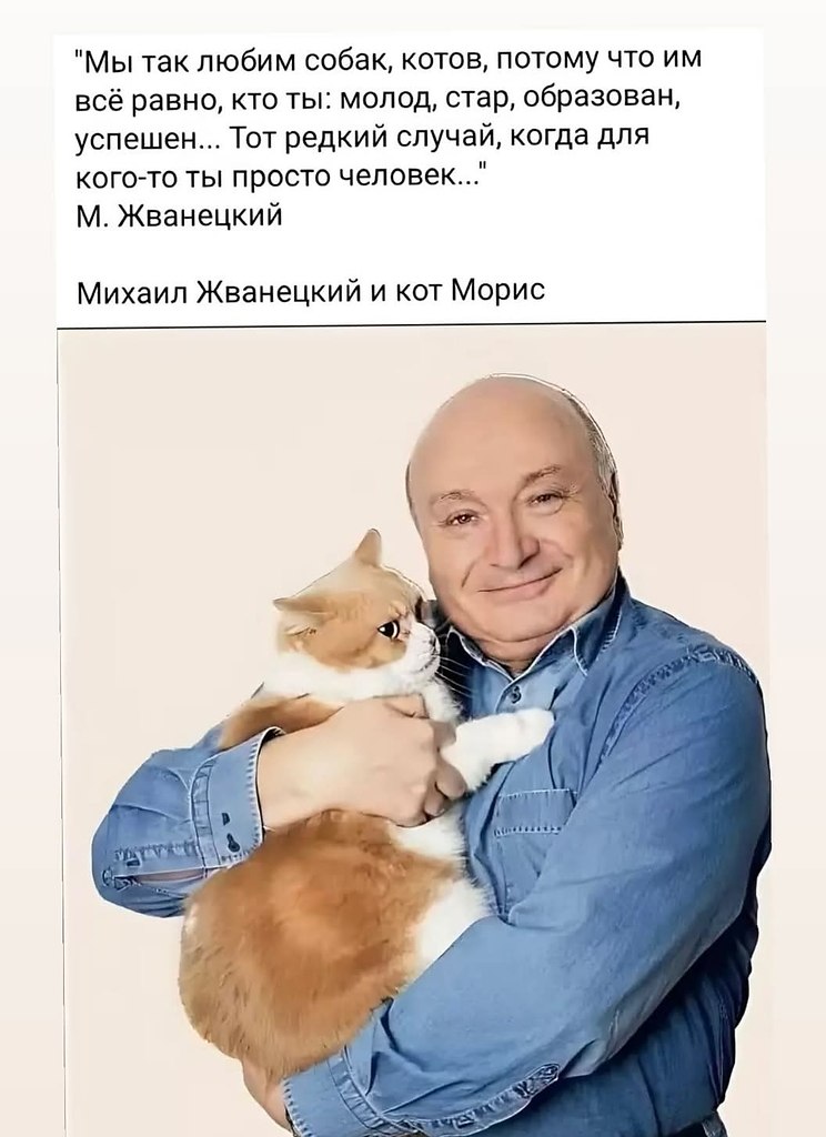   - 11  2025  03:31