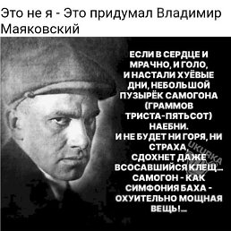 ���� ���������� �����, ���������, 40 ��� - ��������� 7 �������� 2024