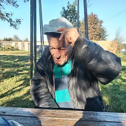 ���� ����, �����, 55 ��� - ��������� 29 ����� 2026