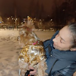 ��������, �����-���������, 49 ���