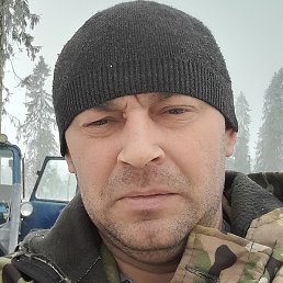 �����, ���, 41 ���