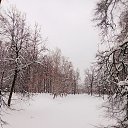 ���� �����, ���������, 50 ��� - ��������� 4 ������� 2023 � ������ ���� ����������