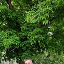 ���� ������, ������ - ��������� 9 ������� 2025 � ������ ���� ����������