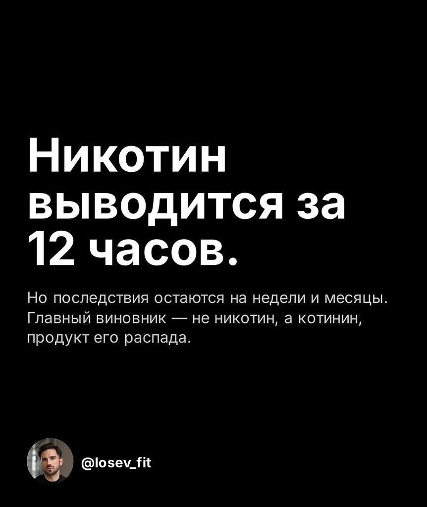 НОЧЬ - 27 октября 2025 в 20:16 - 2