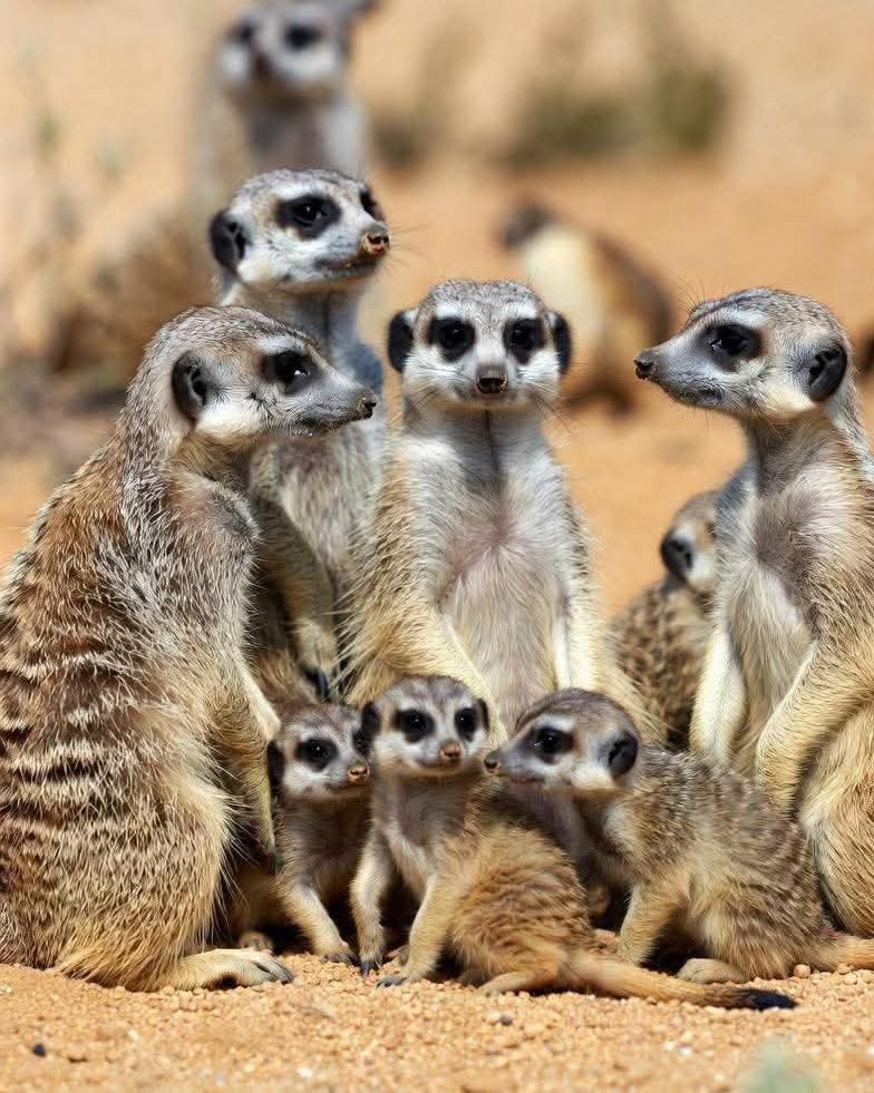 :) � ��������� ���� ��������� ������� ���. ���� �������� ���� ���, ������ �������� �������� ������ ...