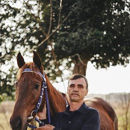 ������, 46 ���, ������