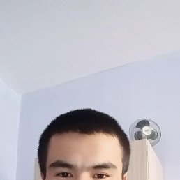 , 26, 