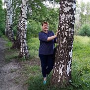 ����, 56 ���, �����������