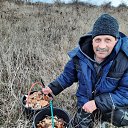 ���� �������, ��������, 58 ��� - ��������� 29 ������ 2025 � ������ ���� ����������