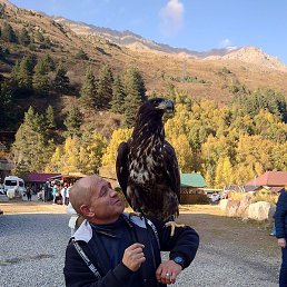 Amir, ������, 48 ���