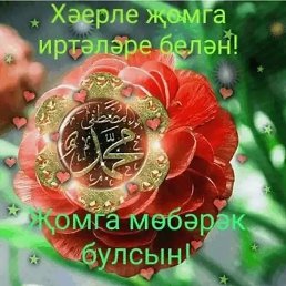 ���� ��������, ������, 42 ���� - ��������� 29 ������ 2024