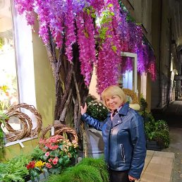 ���� �����, ���������, 66 ��� - ��������� 3 ��� 2024