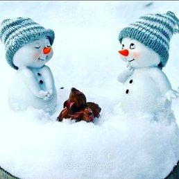 ������, ������, 29 ���