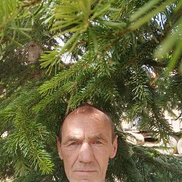 , 51, 