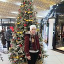 ���� ���������, ����-�����������, 62 ���� - ��������� 17 ������ 2026 � ������ ���� ����������