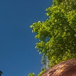 ����, ������, 27 ���