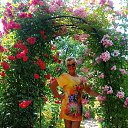 ���� ����, �������� - ��������� 23 ���� 2026 � ������ ���� ����������