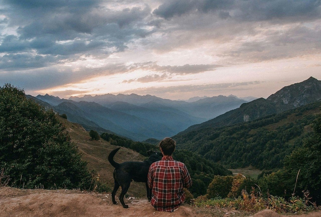 ����� ������� ��������, �� ����, �� ��������� ���� ����������� �� �����������. �.�. �����������